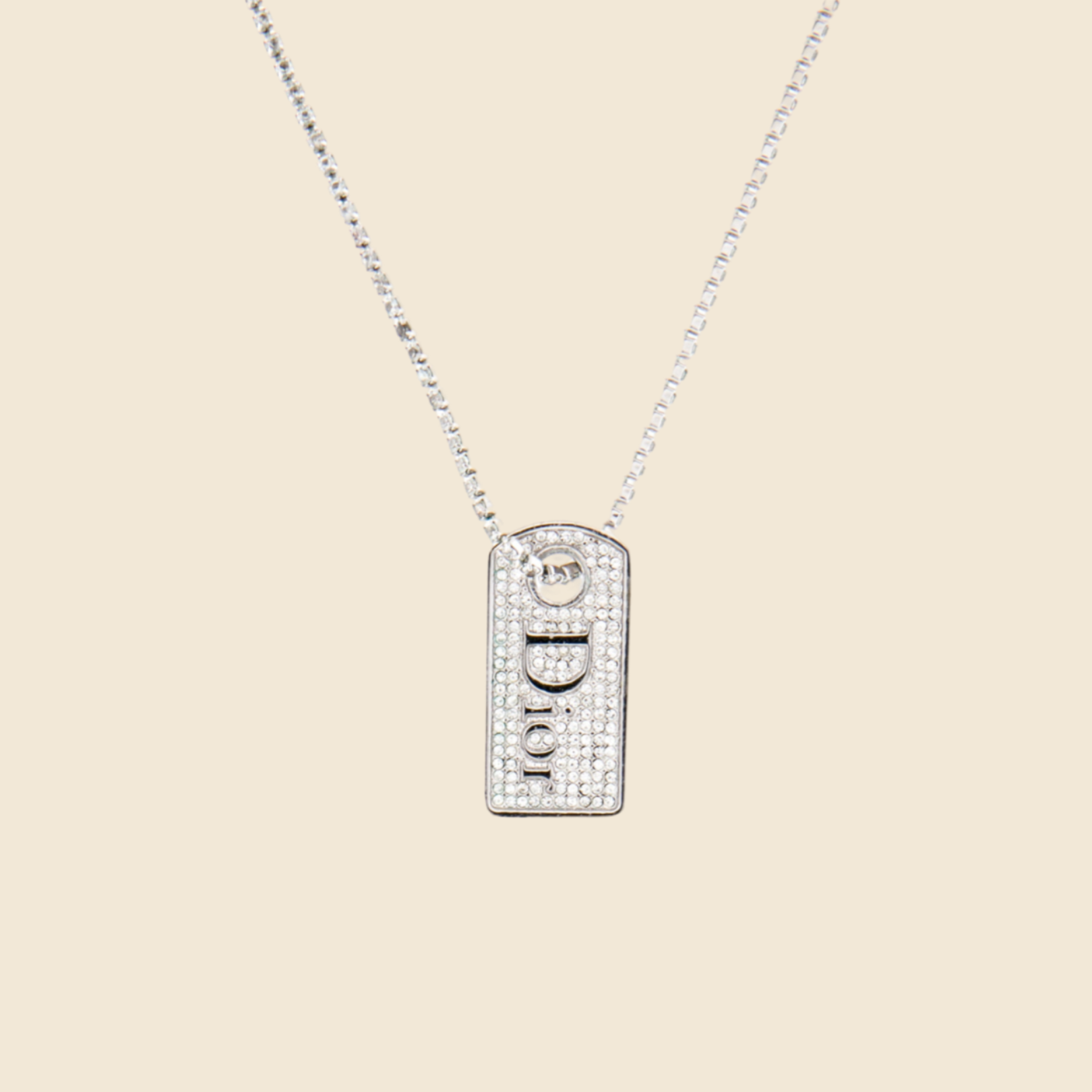 Dior dog tag discount necklace