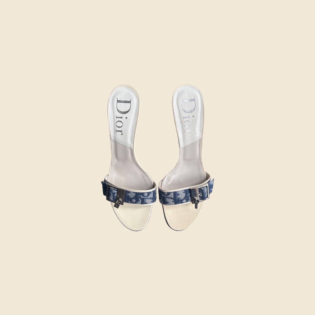 CHRISTIAN DIOR BLUE TROTTER STRAP HEELS