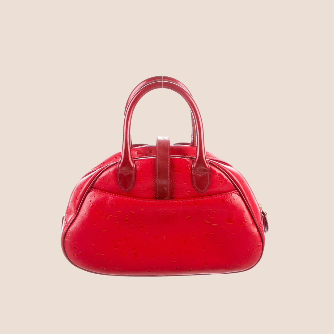CHRISTIAN DIOR RED RAINDROP MINI DOUBLE SADDLE BAG
