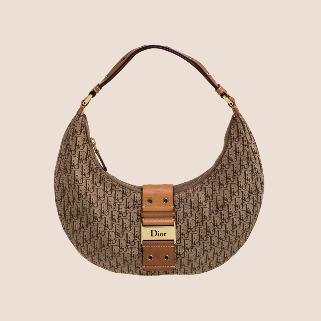 CHRISTIAN DIOR BEIGE & BROWN STREET CHIC HALF MOON BAG – RDB