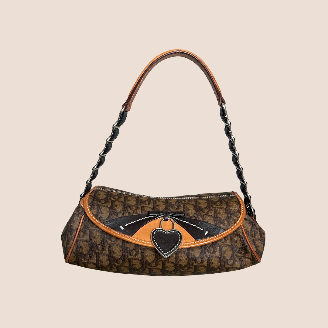 CHRISTIAN DIOR BROWN TROTTER ROMANTIQUE BAGUETTE BAG – RDB