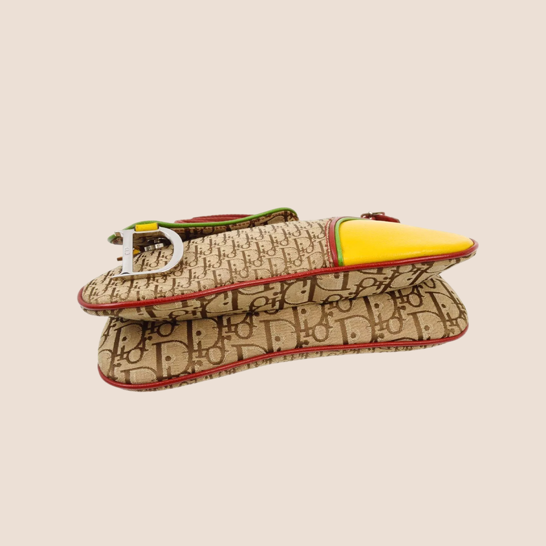 CHRISTIAN DIOR 2004 RASTA SADDLE SHOULDER BAG