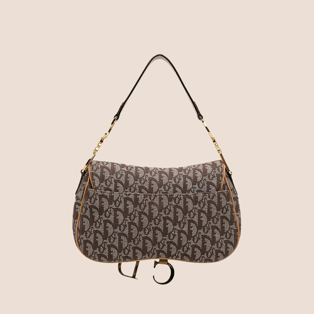 CHRISTIAN DIOR 2002 BROWN & BEIGE TROTTER DOUBLE SADDLE BAG