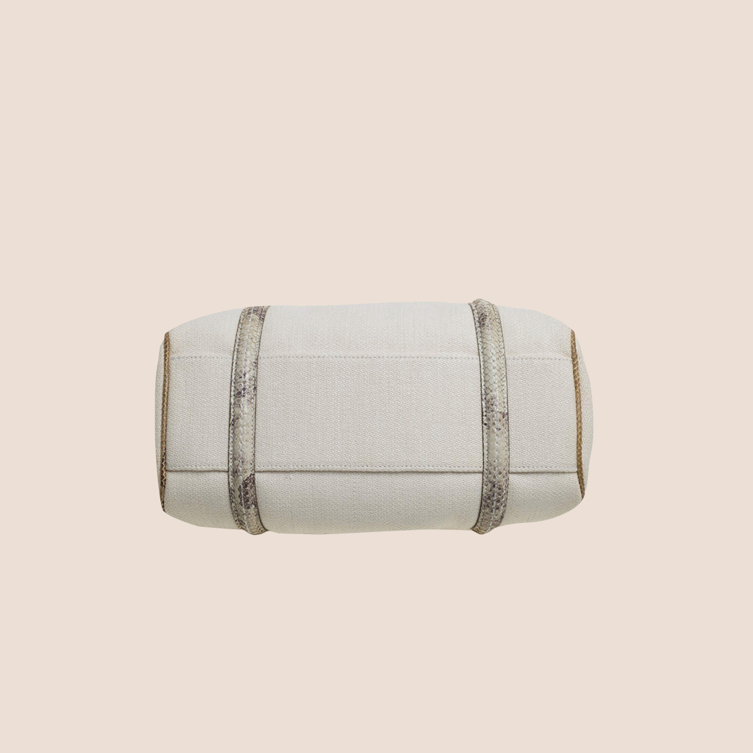 CHRISTIAN DIOR 2007 BEIGE CANVAS & PYTHON TRIM FRAME SATCHEL