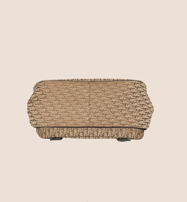 CHRISTIAN DIOR 2006 BROWN STREET CHIC DIORISSIMO FLAP BAG