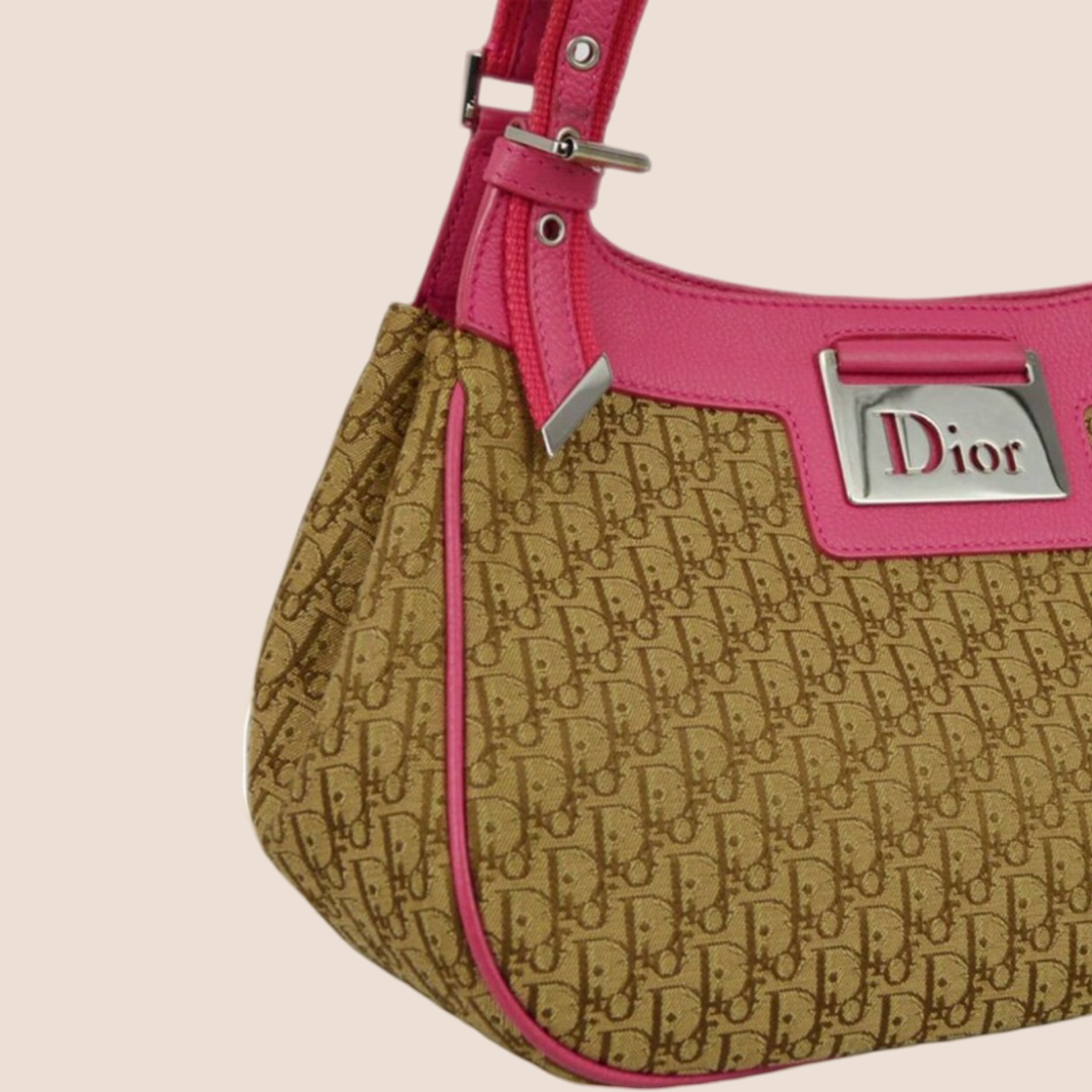 CHRISTIAN DIOR 2005 STREET CHIC DIORISSIMO TOTE BAG