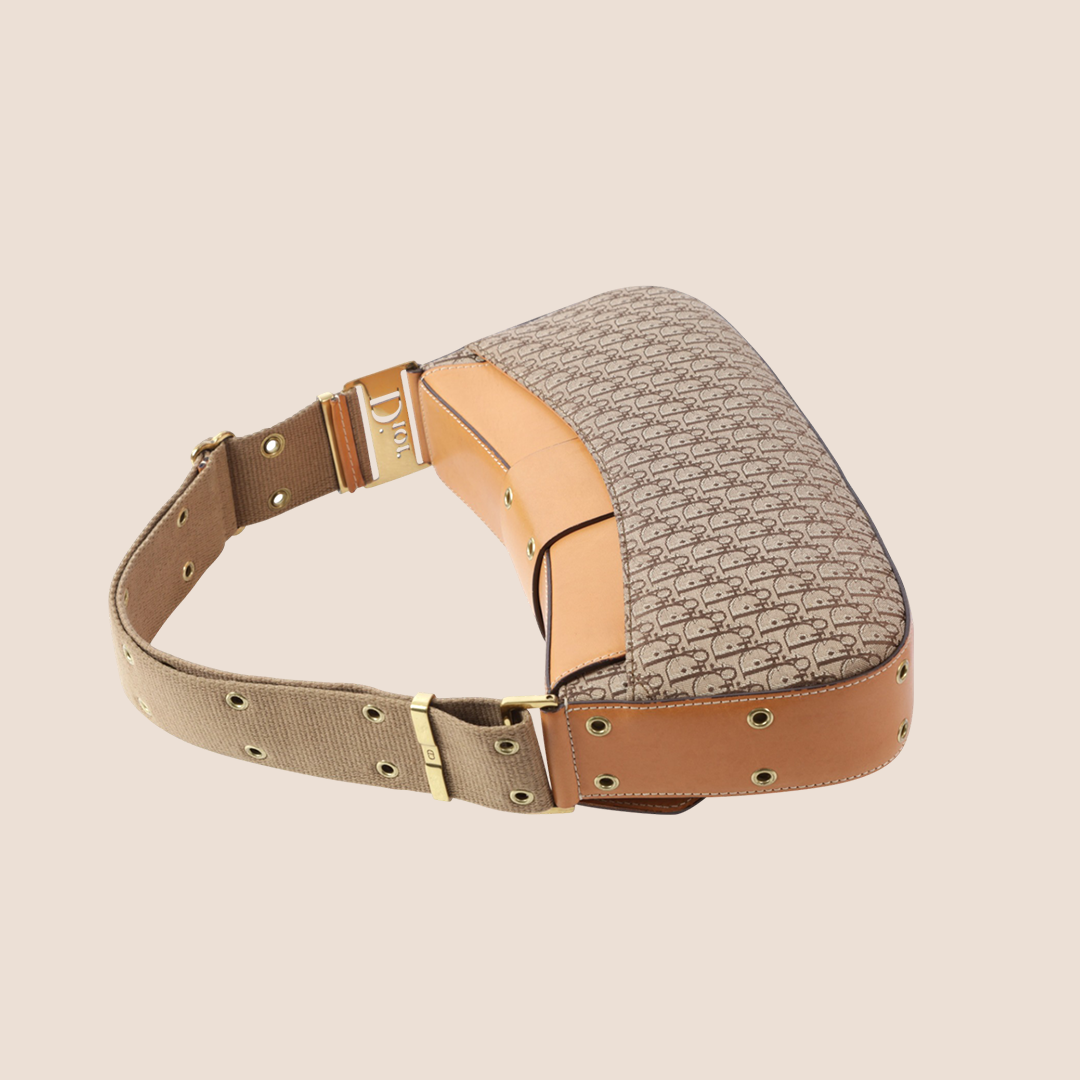 CHRISTIAN DIOR BEIGE DIORISSIMO STREET CHIC COLUMBUS BAG