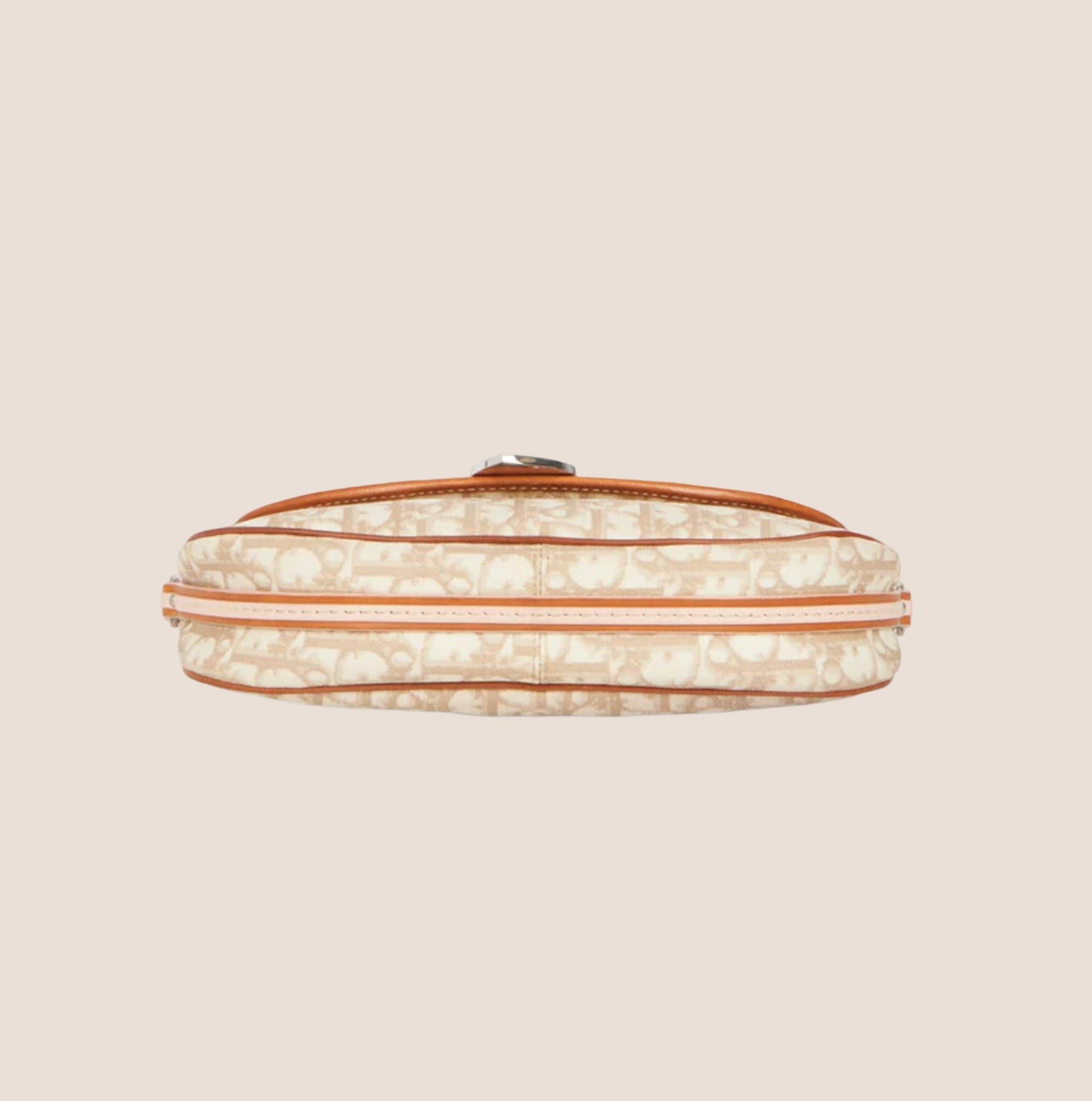 CHRISTIAN DIOR 2007 PINK & BEIGE ROMANTIQUE BAGUETTE BAG