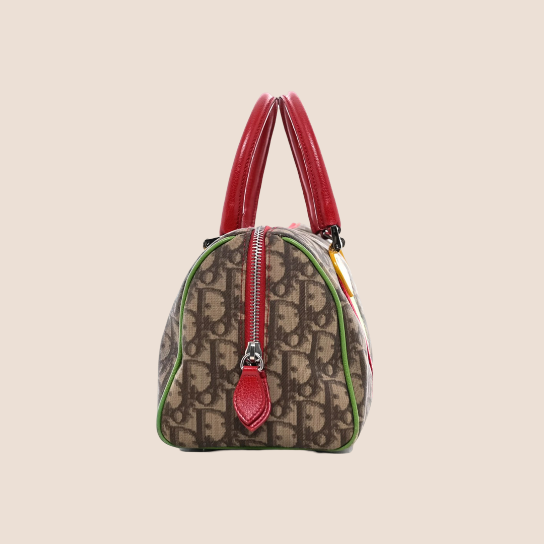CHRISTIAN DIOR 2004 TROTTER RASTA BOSTON BAG