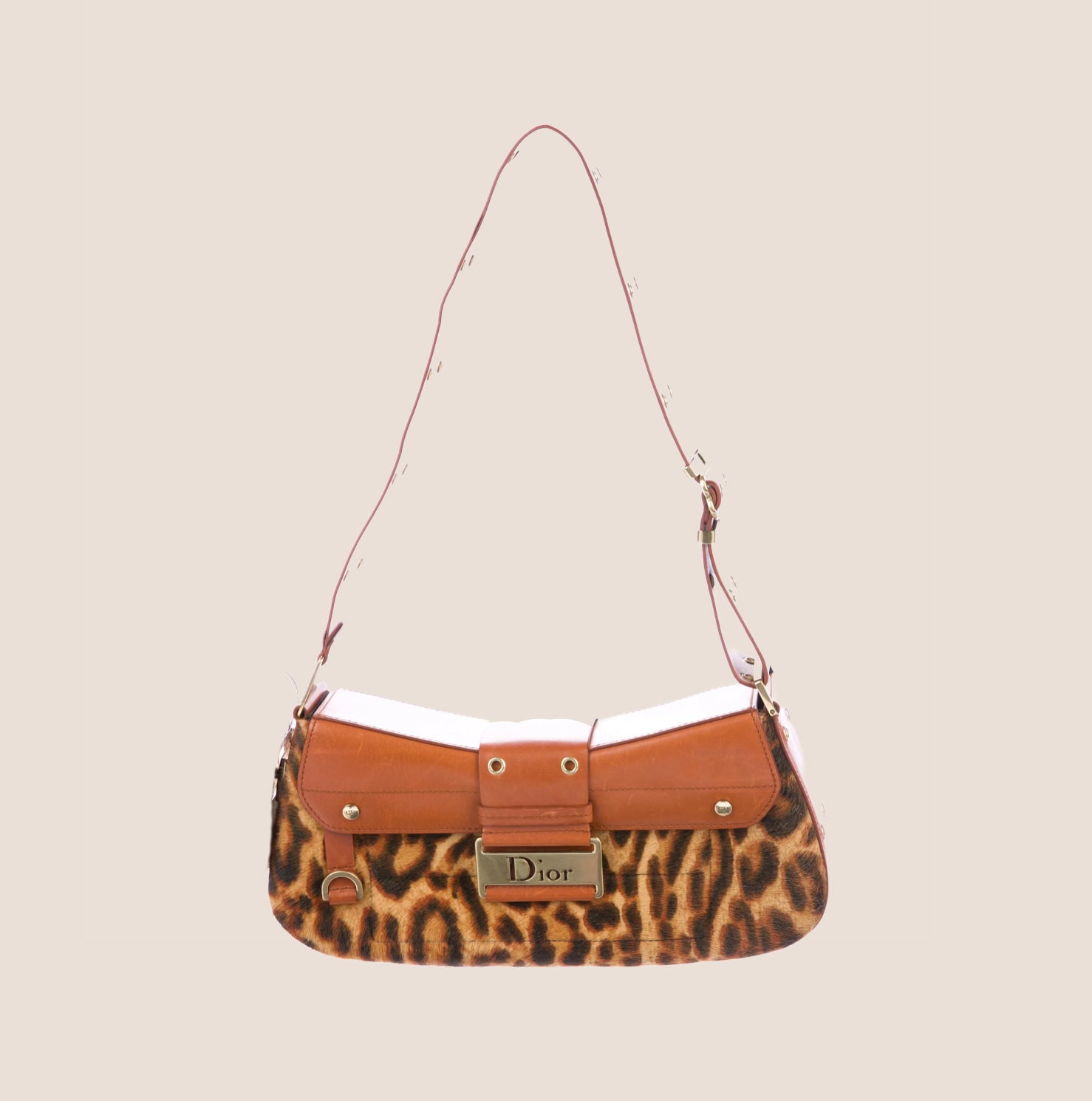 CHRISTIAN DIOR 2005 LEOPARD BROWN STREET CHIC COLUMBUS BAG – RDB