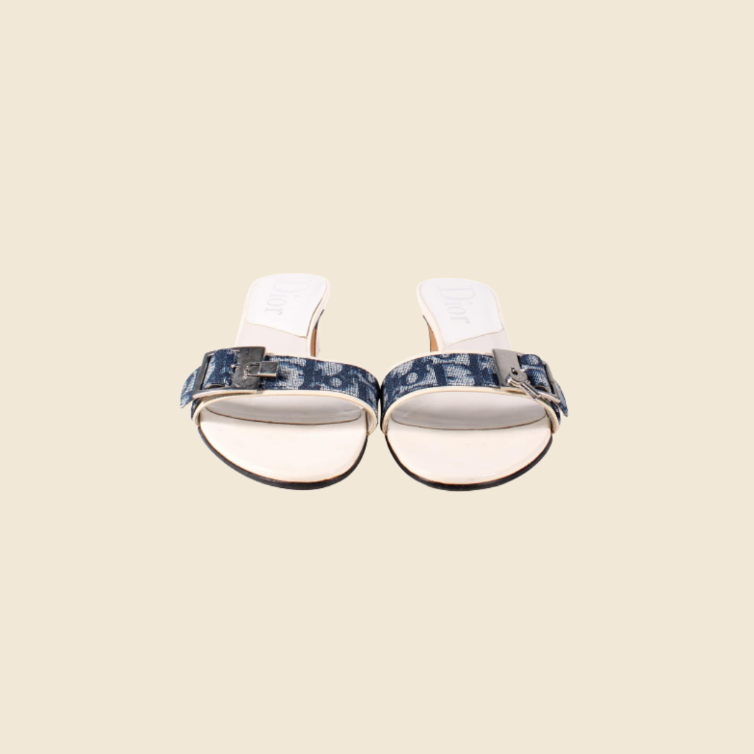 CHRISTIAN DIOR BLUE TROTTER STRAP MULES