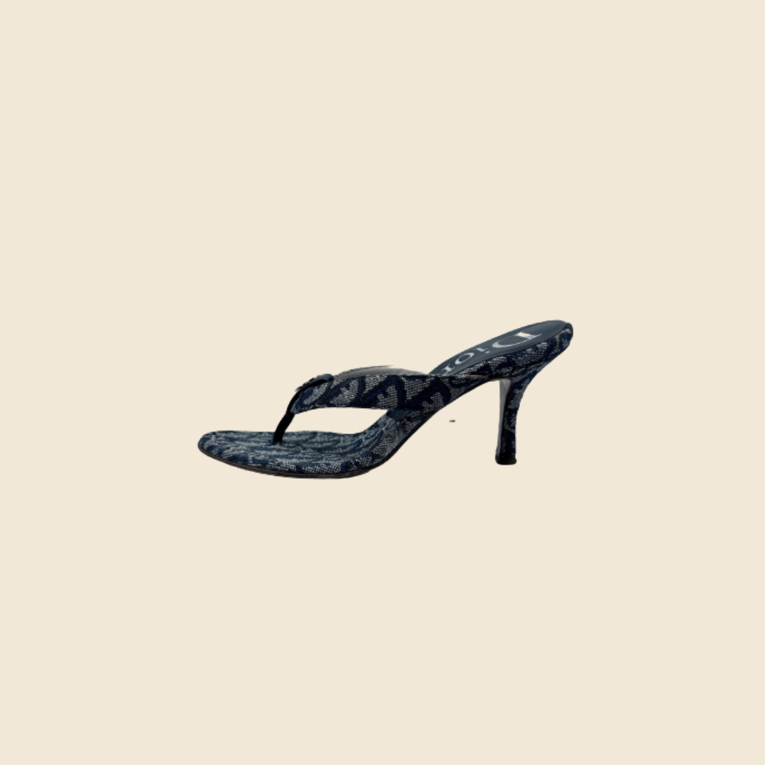CHRISTIAN DIOR NAVY OBLIQUE LOGO THONG SANDALS