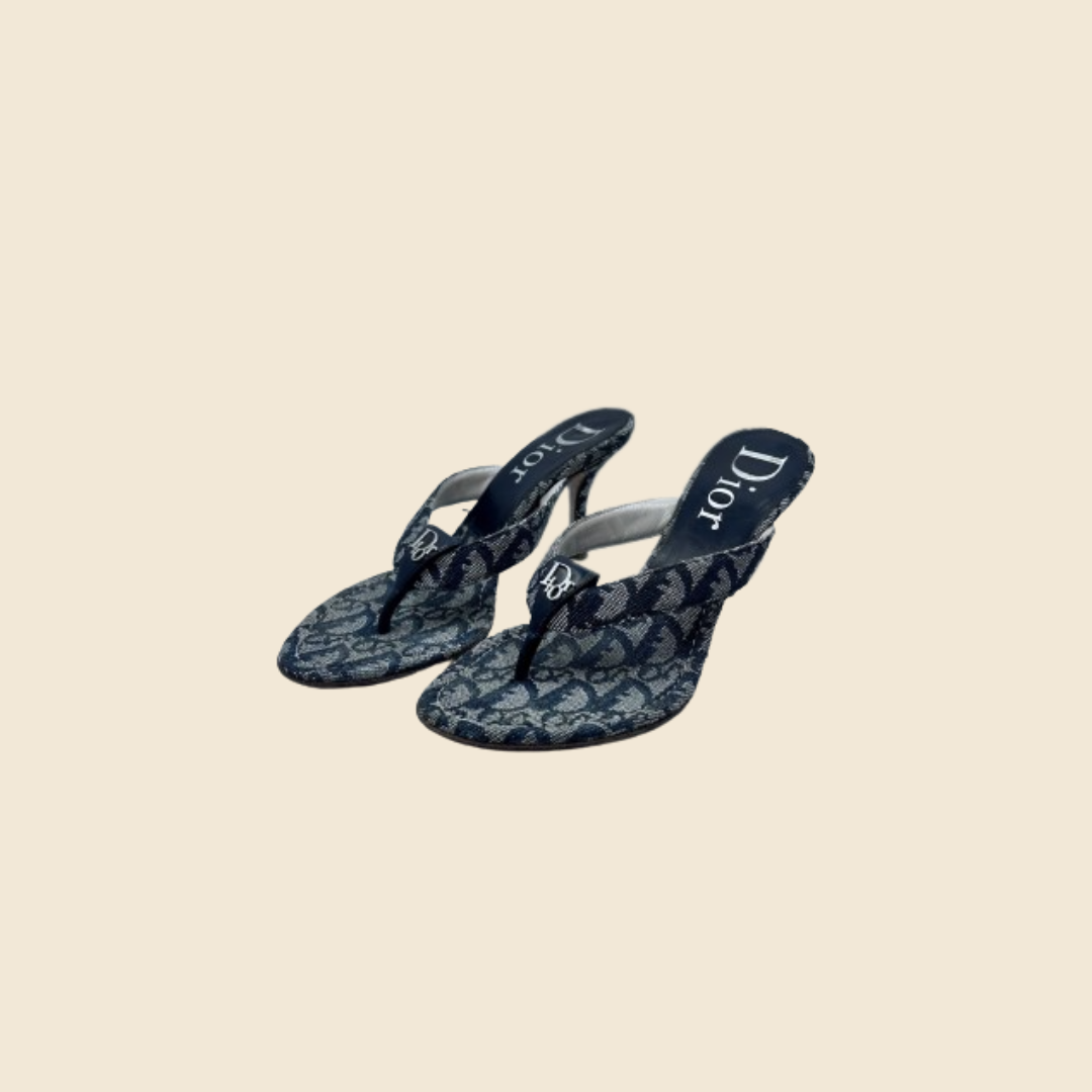 CHRISTIAN DIOR NAVY OBLIQUE LOGO THONG SANDALS