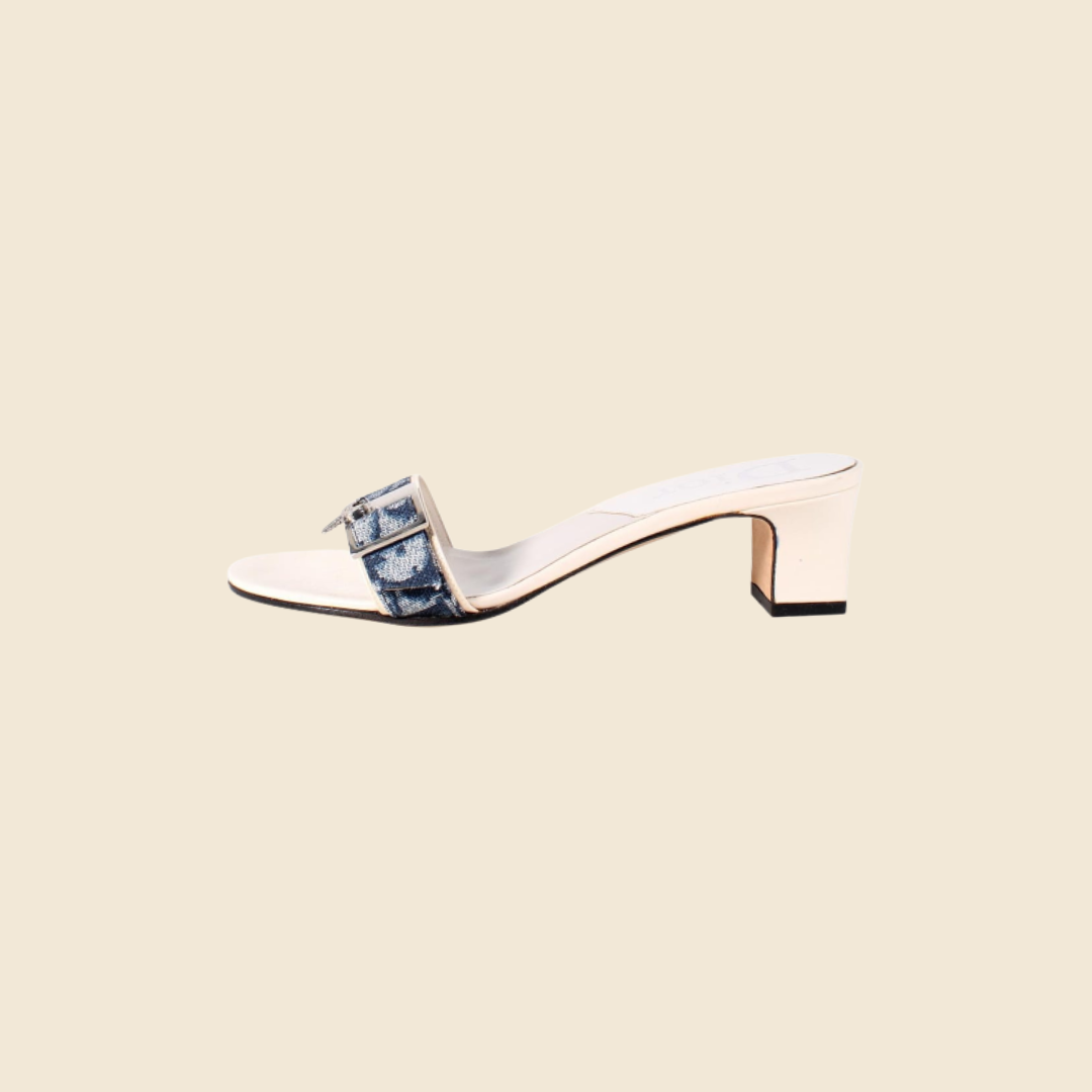 CHRISTIAN DIOR BLUE TROTTER STRAP MULES