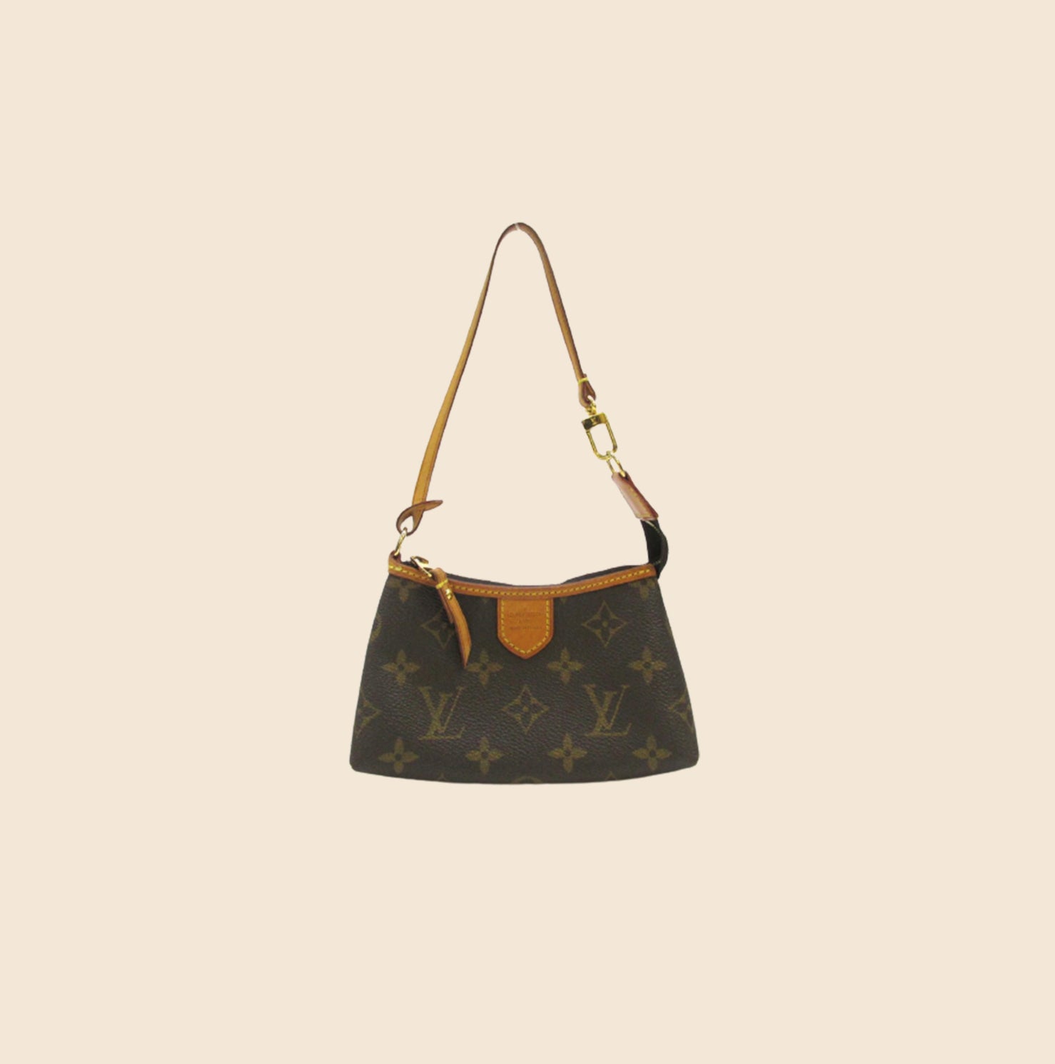 Louis Vuitton Delightful Handbag