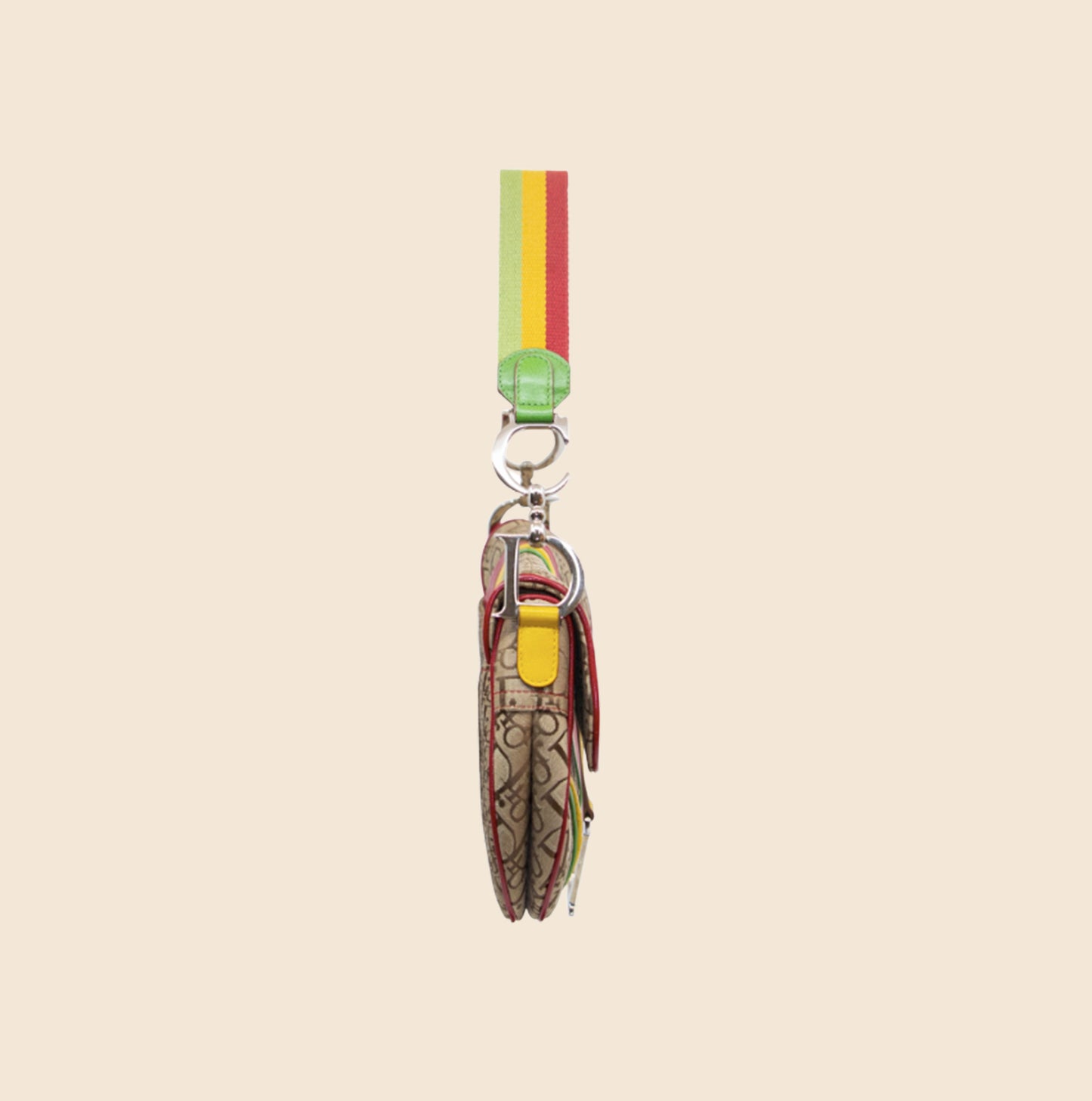 CHRISTIAN DIOR RASTA SADDLE BAG