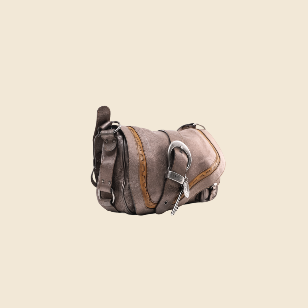 CHRISTIAN DIOR SPRING 2006 METALLIC GAUCHO BAG RDB