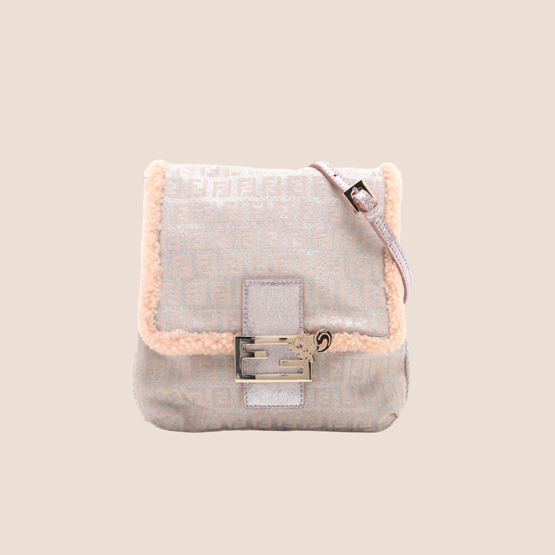 FENDI ZUCCHINO CANVAS PINK & SILVER CROSSBODY BAG – RDB