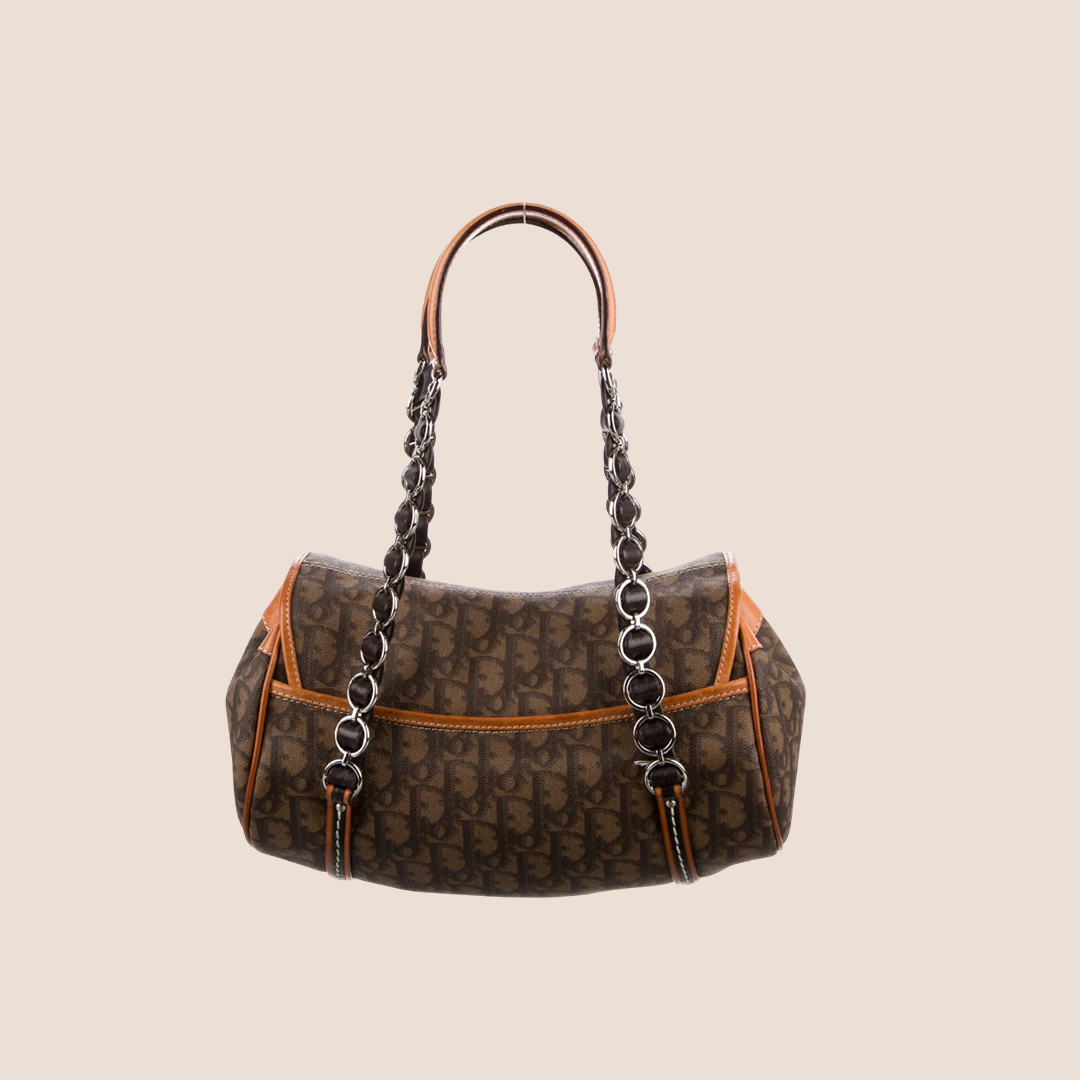 CHRISTIAN DIOR 2007 BROWN & TAN ROMANTIQUE SHOULDER BAG