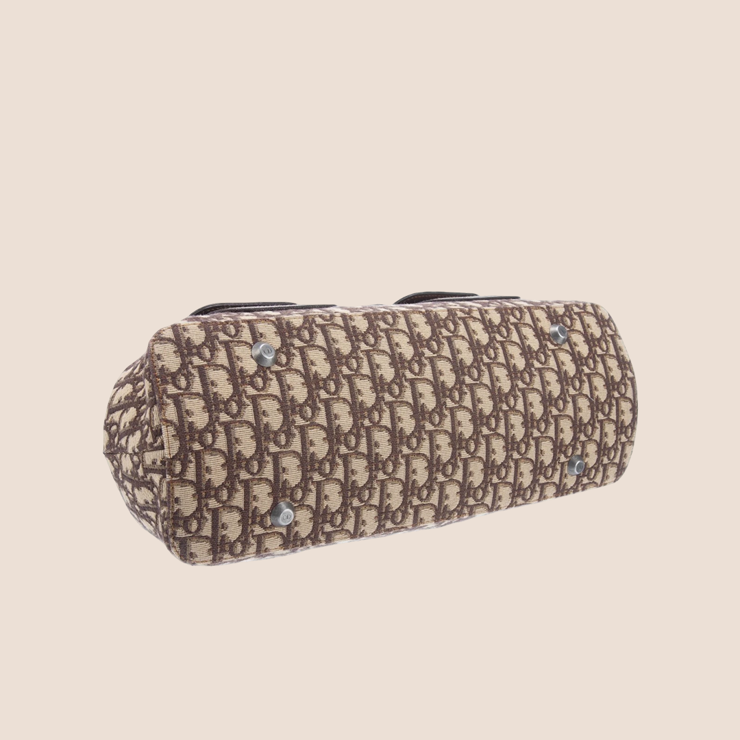 CHRISTIAN DIOR 2006 BROWN DIORISSIMO TROTTER FLIGHT FRAME BAG