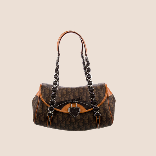CHRISTIAN DIOR 2007 BROWN & TAN ROMANTIQUE SHOULDER BAG