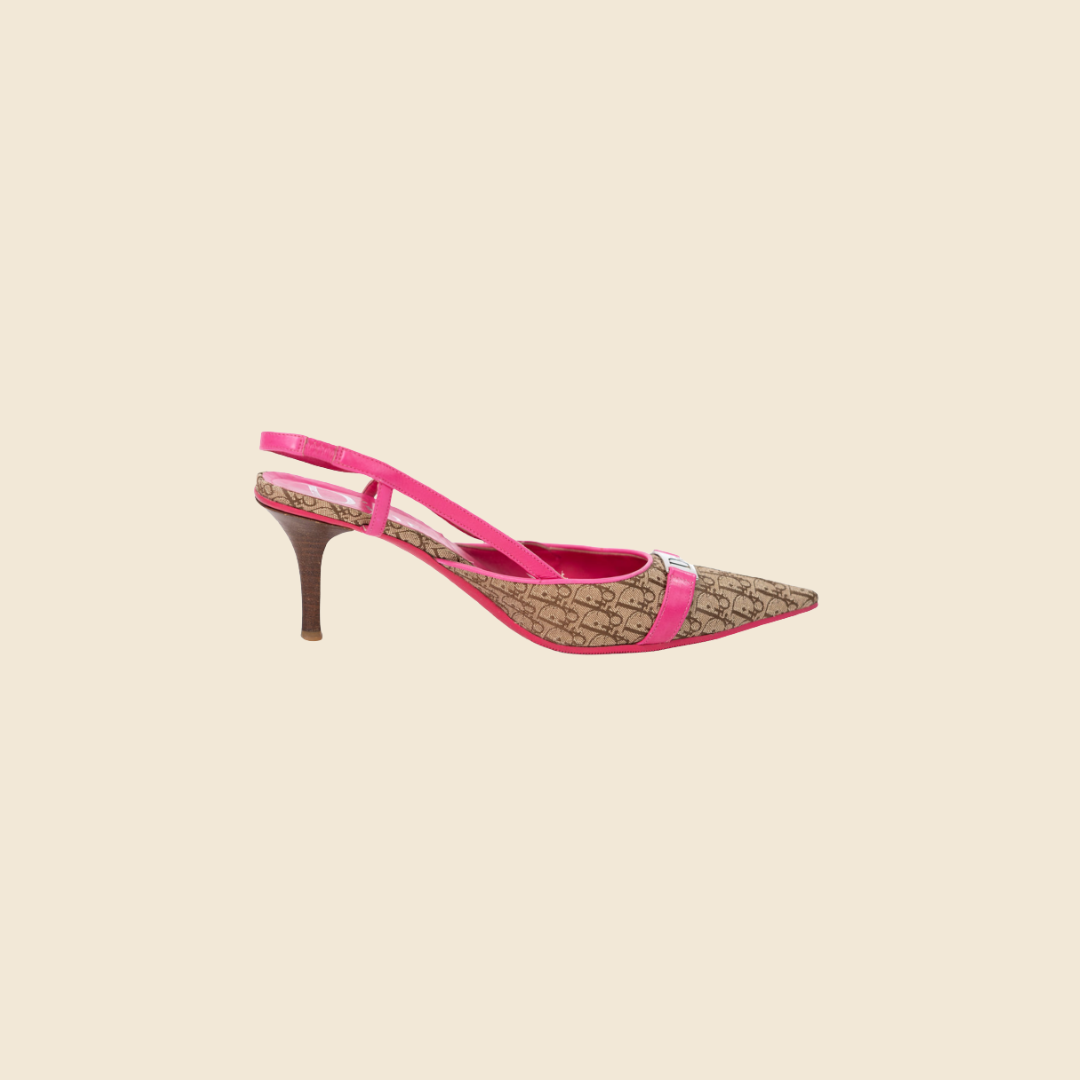 Dior 2025 heels 219