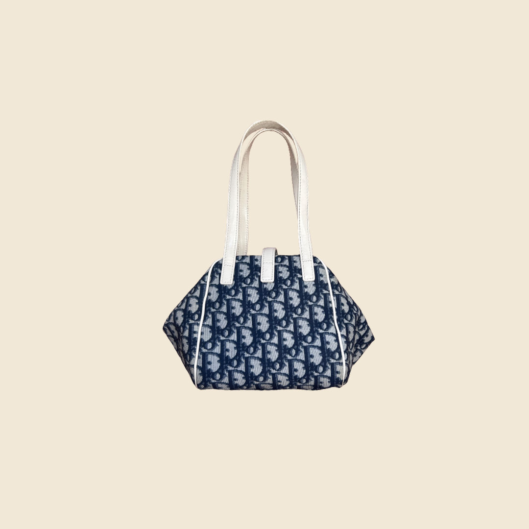 Bucket 2025 bag dior