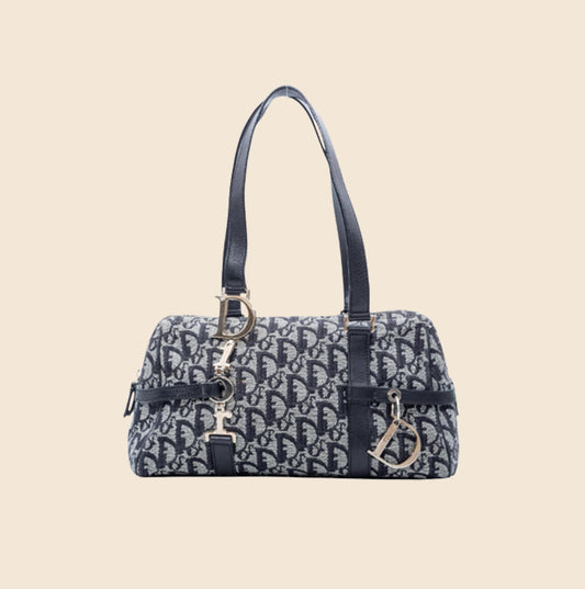 Dior Limited Edition Shoulder Bags for Women